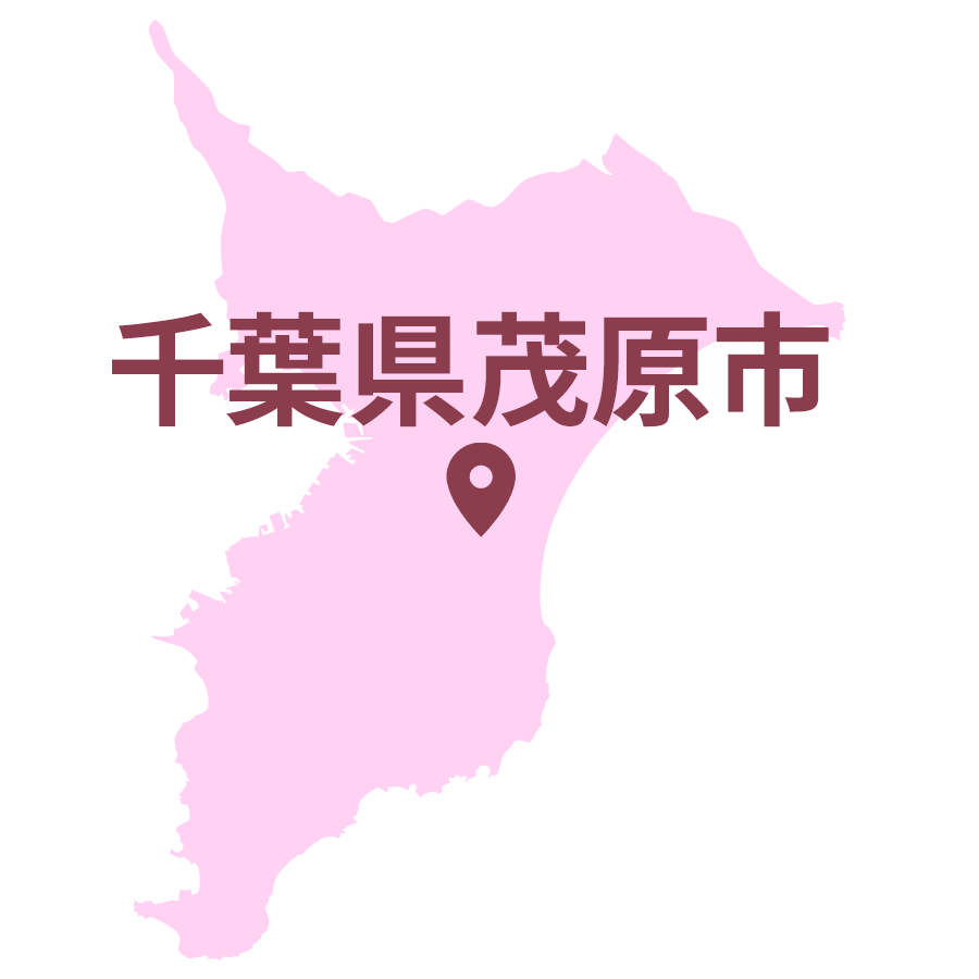 千葉県茂原市のエリアマップ